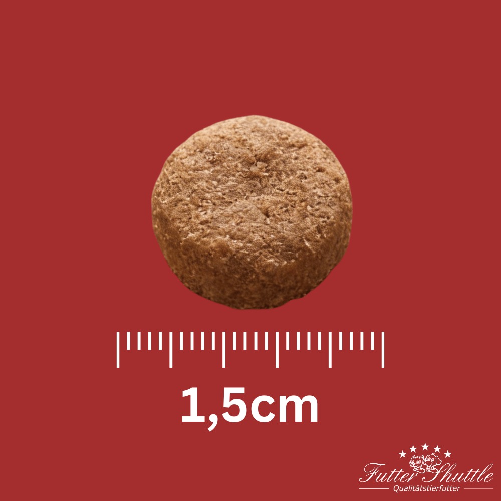 Senior Hundefutter Trocken Light 10kg – Leicht verdauliches Alleinfuttermittel für ältere Hunde