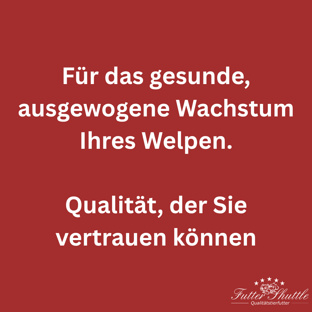 Super Premium Plus 18 3 kg - Getreidefreies Welpenfutter Trockenfutter - Junior Hundetrockenfutter der Extraklasse