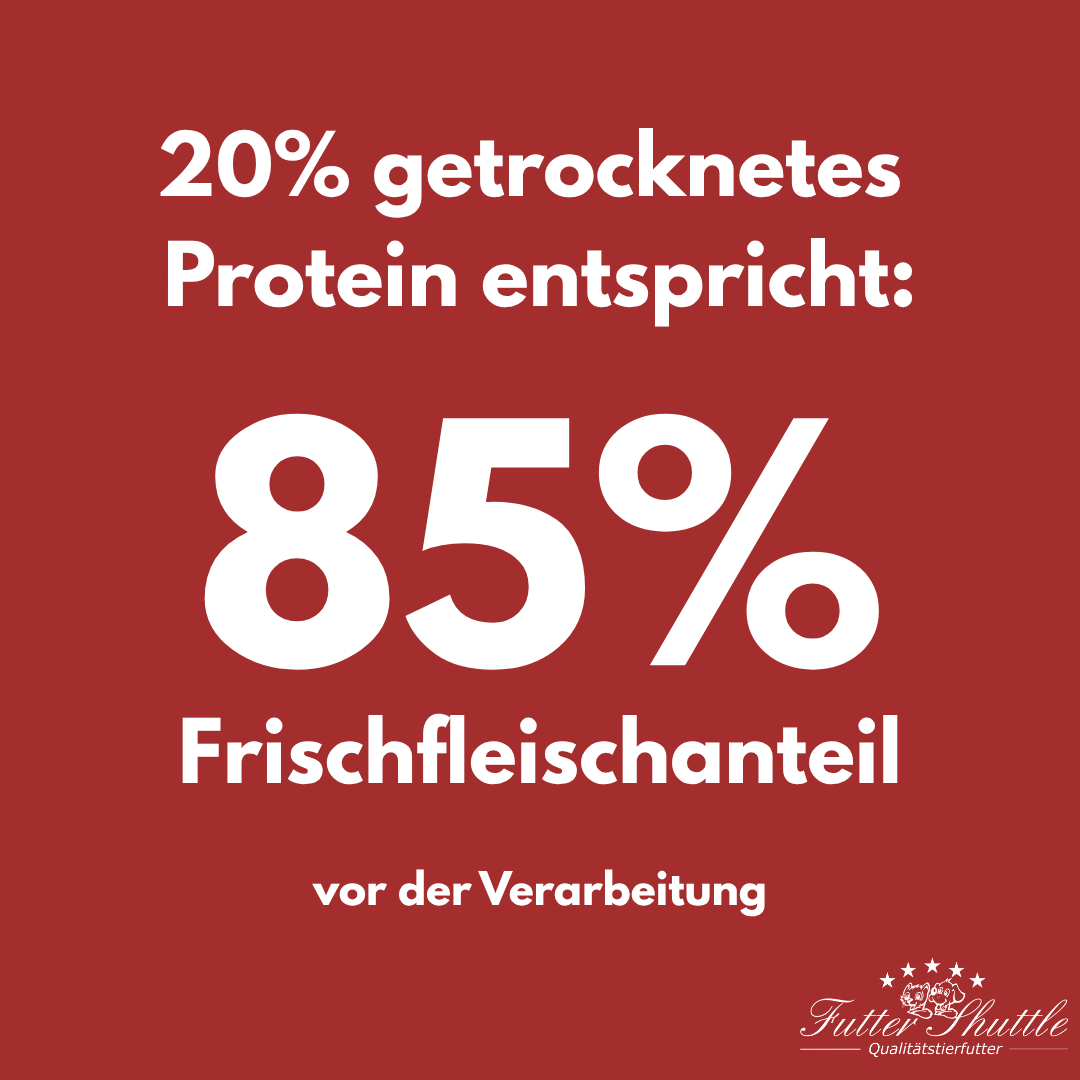 Premium Hundefutter mit Geflügel – 10 kg Super Premium Trockenfutter