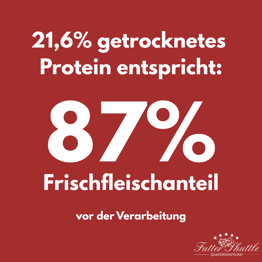Probe Getreidefreies Katzenfutter Trockenfutter Plus 10 – Premium Katzennahrung zum Testen